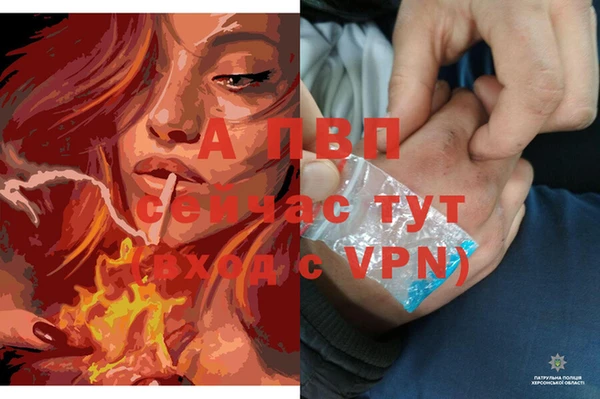 кокс Балахна