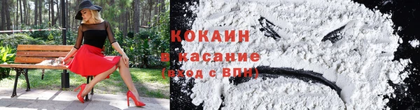 шишки Балабаново