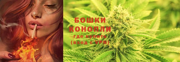 шишки Балабаново
